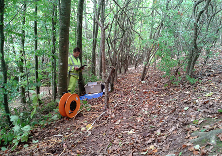 resistivity tomography geophysical survey