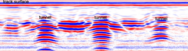 GPR profile over hidden tunnels